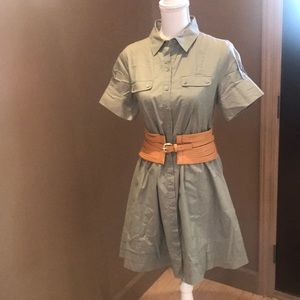 Bcbg green button down dress